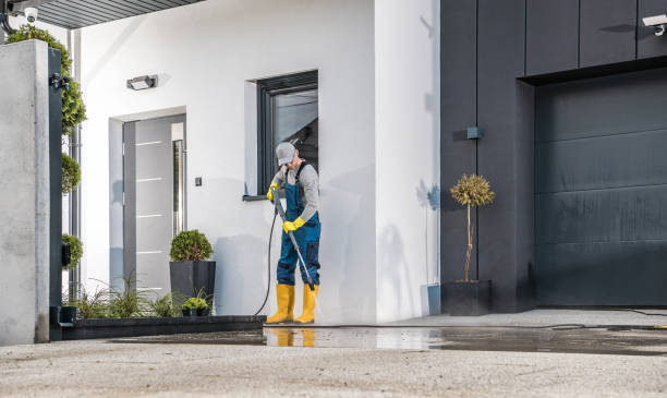 Best Sidewalk and Walkway Cleaning  in Barry, IL